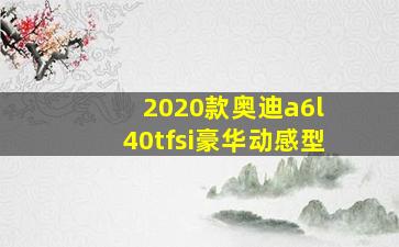 2020款奥迪a6l 40tfsi豪华动感型